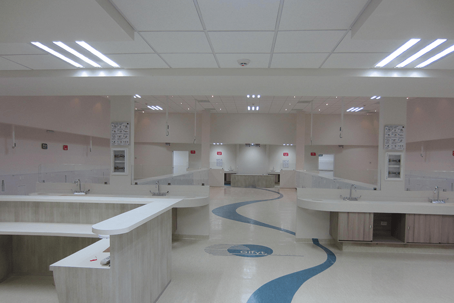 arqualli health asesoria consultoria